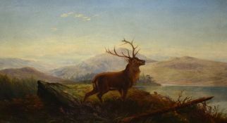 A 20th century oil on canvas landscape, a Scottish Highland scene with deer stag, signed