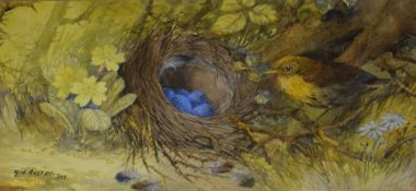 Reginald Harry Austin (British 1890-1955) A pair of ornithological watercolours 'Robins Nest and