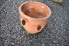 A terracotta strawberry planter