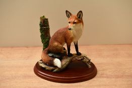 A Border Fine Arts animal study 'Sitting Safe' model number A2027, designed by Ray Ayres, measures