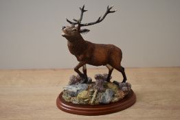 A Border Fine Arts animal study 'Red Stag' model number A1485, designed by Ray Ayres, measures 24cm,