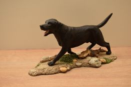 A Royal Doulton bone china Black Labrador study, depicted in a running stance, on moulded base, in