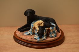 A limited edition Border Fine Arts animal group 'Labrador & Pups' model number B0350B, designed by M