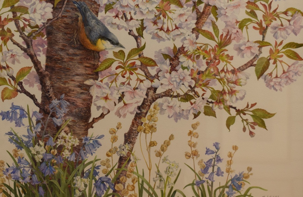 *Local Interest* Elizabeth Walsh (British b.1946) Watercolour 'Cherry Time', a springtime