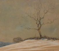 D. E. Willink (British 20th Century) Watercolour, a lone hillside tree in winter, signed and
