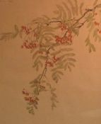 D. E. Willink (British 20th Century) Watercolour 'Rowan Berries', depicting the branch of a Rowan