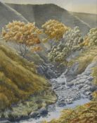 *Local Interest* John Mounsey (British 20th Century) Watercolour 'Far Gill Laids, Baugh Fell; Late
