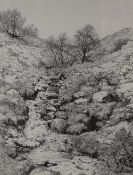 *Local Interest* Elizabeth Walsh (British b.1946) Pen and ink, depicting a cascading moorland