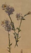 A 20th Century Watercolour, a botanical study of lillies, artist's monogram (F.M.U?) lower right,