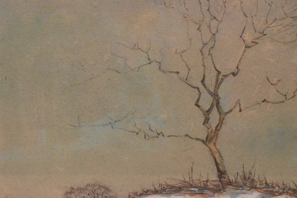 D. E. Willink (British 20th Century) Watercolour, a lone hillside tree in winter, signed and - Image 3 of 5