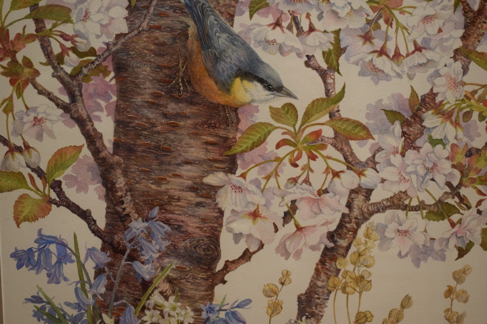 *Local Interest* Elizabeth Walsh (British b.1946) Watercolour 'Cherry Time', a springtime - Image 3 of 6