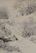 *Local Interest* Elizabeth Walsh (British b.1946) Pen and ink 'Winter Walk', a wooded country