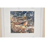 *Local Interest* Fiona Clucas (British Contemporary) Mixed media on paper 'Chaffinch, snow Falling',