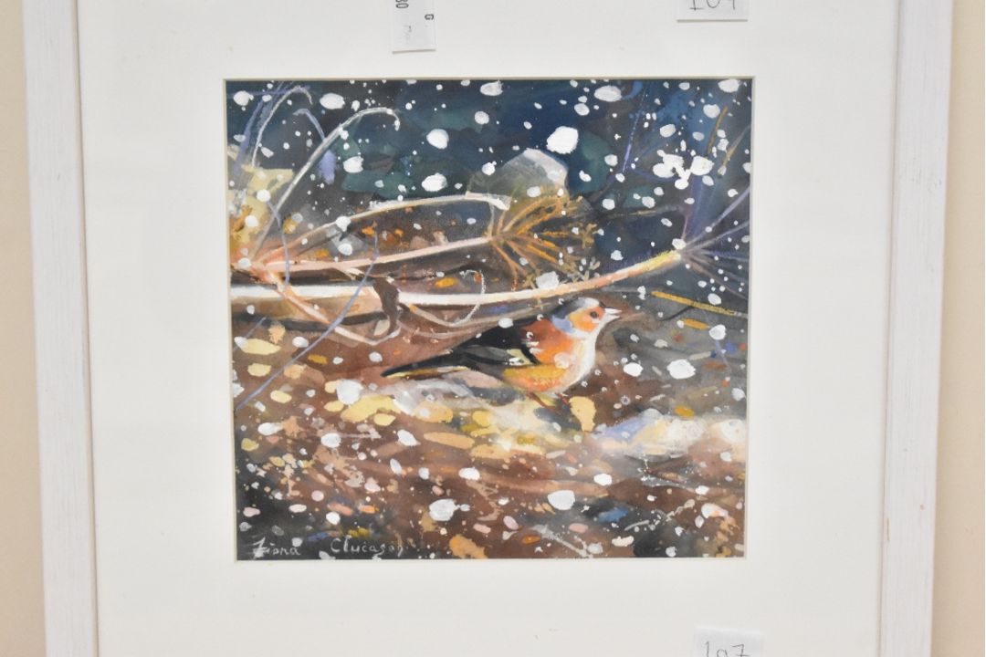 *Local Interest* Fiona Clucas (British Contemporary) Mixed media on paper 'Chaffinch, snow Falling', - Image 1 of 4