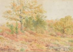 Robert Rampling (British c1836-1909) watercolour, autumnal woodland scene, signed lower centre,