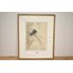 George Vernon Stokes (British 1873-1954) limited edition coloured etching, study of a kingfisher, - Image 2 of 3