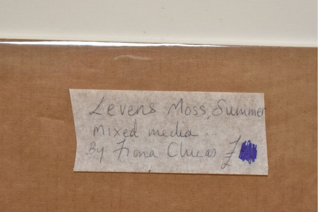 *Local Interest* Fiona Clucas (British Contemporary) Mixed Media 'Levens Moss, Summer', a meadow - Image 4 of 4