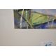 *Local Interest* Fiona Clucas (British Contemporary) Mixed media on paper 'Bluetit I', a woodland - Image 3 of 4