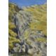 *Local Interest* Jill M Aldersley (British 1943-2007) Watercolour 'Cam Spout, Eskdale', a Lake - Image 1 of 2