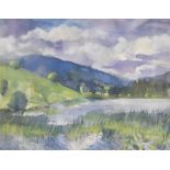 *Local Interest* Fiona Clucas (British Contemporary) Mixed media on paper 'Summer Loch with