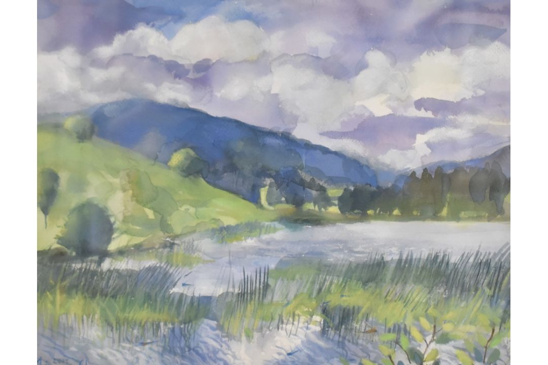 *Local Interest* Fiona Clucas (British Contemporary) Mixed media on paper 'Summer Loch with - Image 1 of 5