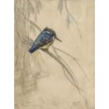 George Vernon Stokes (British 1873-1954) limited edition coloured etching, study of a kingfisher,