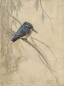 George Vernon Stokes (British 1873-1954) limited edition coloured etching, study of a kingfisher,
