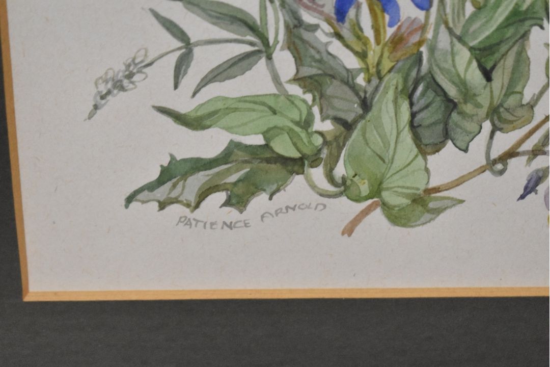 *Local Interest* Patience Arnold (British 1901-1992) Watercolour, a botanical study depicting - Image 3 of 3