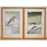 John Crank (British 1922-2008) A pair of watercolour/gouache bird studies 'Grey Wagtail' and 'Red