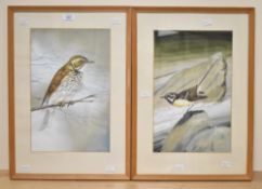 John Crank (British 1922-2008) A pair of watercolour/gouache bird studies 'Grey Wagtail' and 'Red