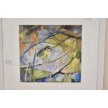 *Local Interest* Fiona Clucas (British Contemporary) Mixed media on paper 'Bluetit I', a woodland