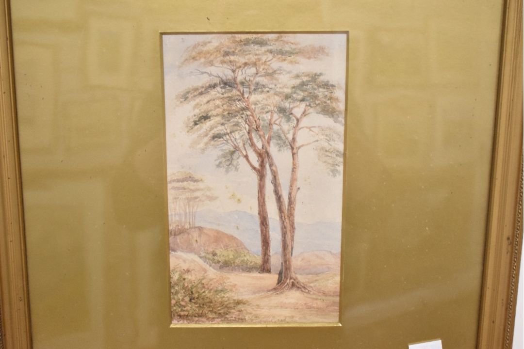 Two 19th century English school watercolours (diptych) a study of trees and lake scene with - Image 4 of 4