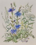 *Local Interest* Patience Arnold (British 1901-1992) Watercolour, a botanical study depicting
