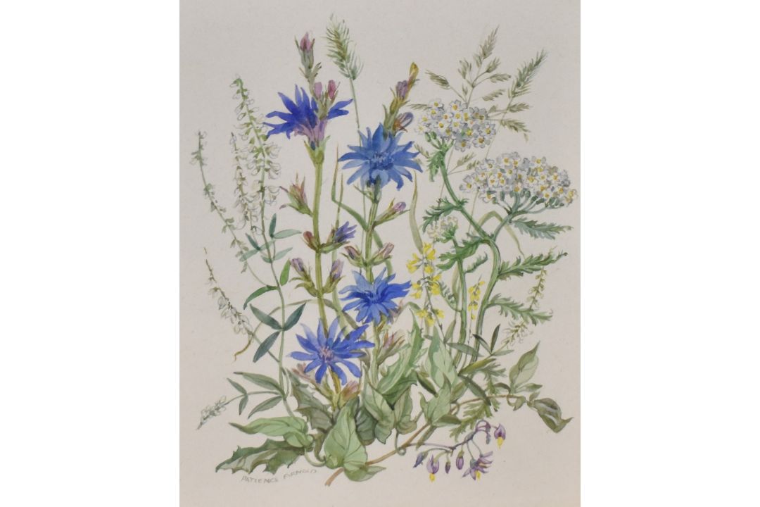 *Local Interest* Patience Arnold (British 1901-1992) Watercolour, a botanical study depicting - Image 1 of 3