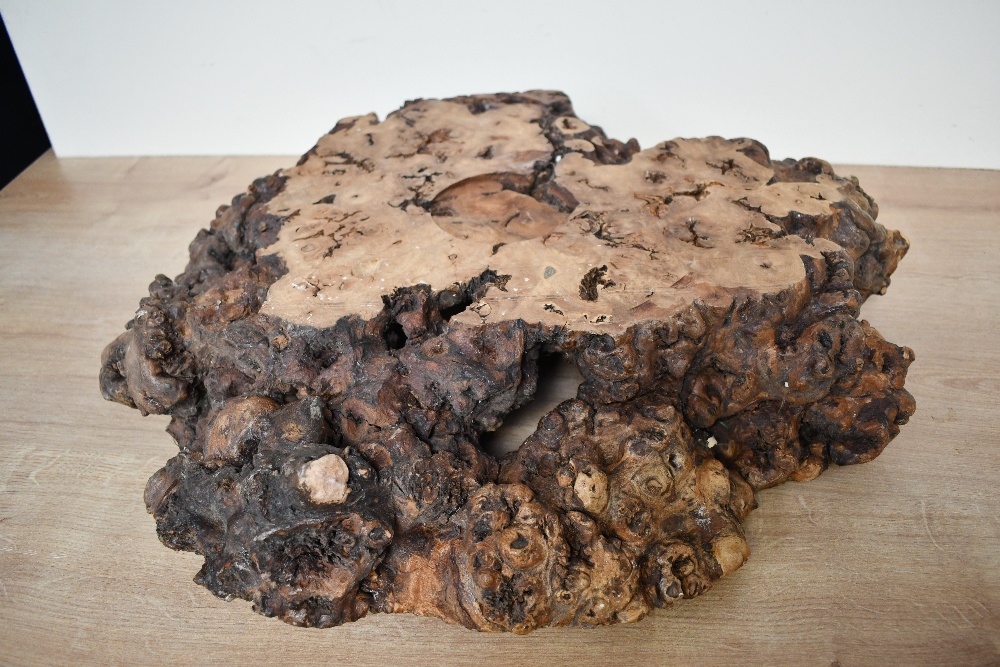 Of local interest, a large late 20th-century hand-turned burl wood centrepiece bowl, having a - Image 2 of 3