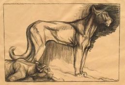 Elsie Henderson (British 1880-1967) Charcoal, a study of a pair of pumas, signed in pencil to