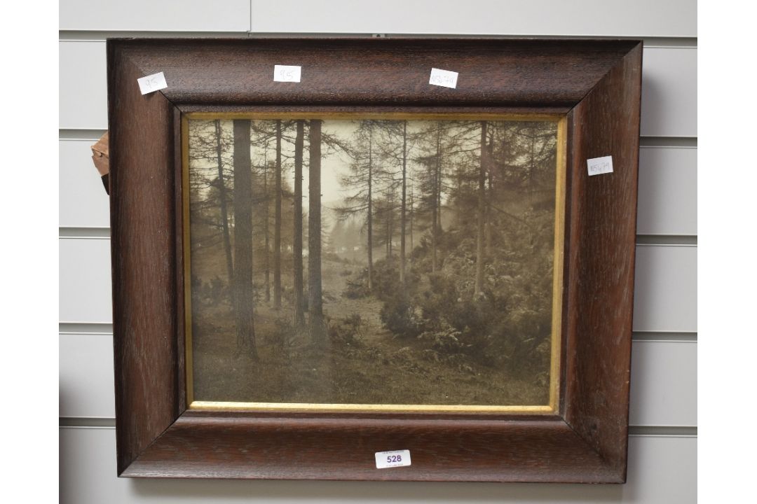 A monochromatic photographic print, an atmospheric woodland scene, unsigned or attributed, within - Image 2 of 4