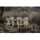 *Local Interest* After Judy Boyes (British b.1943) Lithograph 'Summer Garden, Loughrigg', a study of - Image 3 of 6