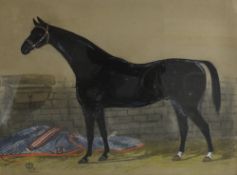 A 19th/20th Century mixed media on paper 'Carthusian', an equine study, artist's monogram lower