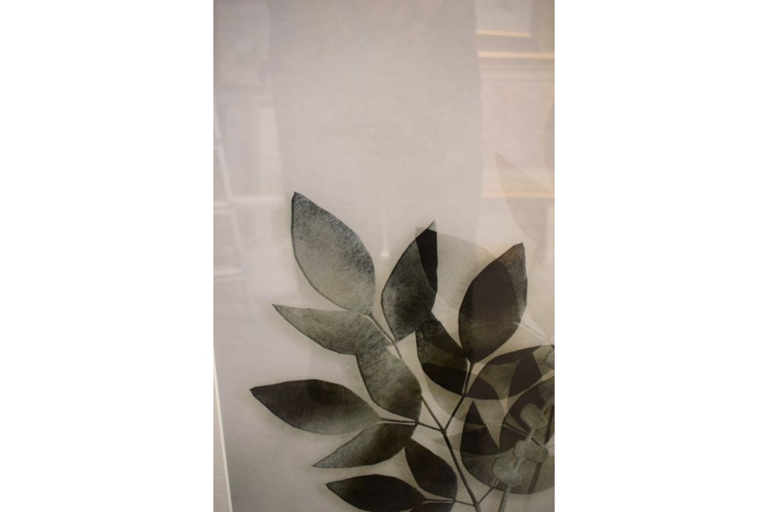 A pair of contemporary lithographs, diffused botanical studies, within card mounts and moulded - Image 5 of 5