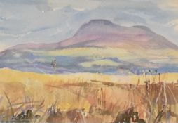 *Local Interest* Fiona Clucas (British Contemporary) Mixed Media 'Short Eared Owl (High) Tatham