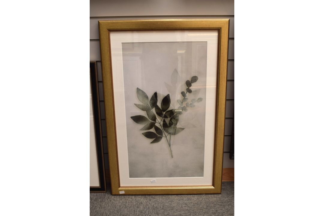 A pair of contemporary lithographs, diffused botanical studies, within card mounts and moulded - Image 4 of 5