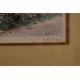 *Local Interest* After Judy Boyes (British b.1943) Lithograph 'Summer Garden, Loughrigg', a study of - Image 4 of 6