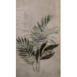 A pair of contemporary lithographs, diffused botanical studies, within card mounts and moulded