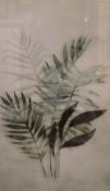 A pair of contemporary lithographs, diffused botanical studies, within card mounts and moulded