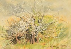Judy Evans (British Contemporary) Mixed media 'Blackthorn', an abstract botanical study, signed