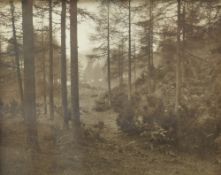 A monochromatic photographic print, an atmospheric woodland scene, unsigned or attributed, within