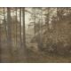 A monochromatic photographic print, an atmospheric woodland scene, unsigned or attributed, within - Image 1 of 4