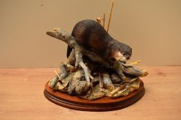 A limited edition Border Fine Arts animal study 'Early Morning', model number B0362, designed by Ray