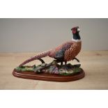 A Border Fine Arts animal study 'Pheasant' model number A1475, designed by Russell Willis,